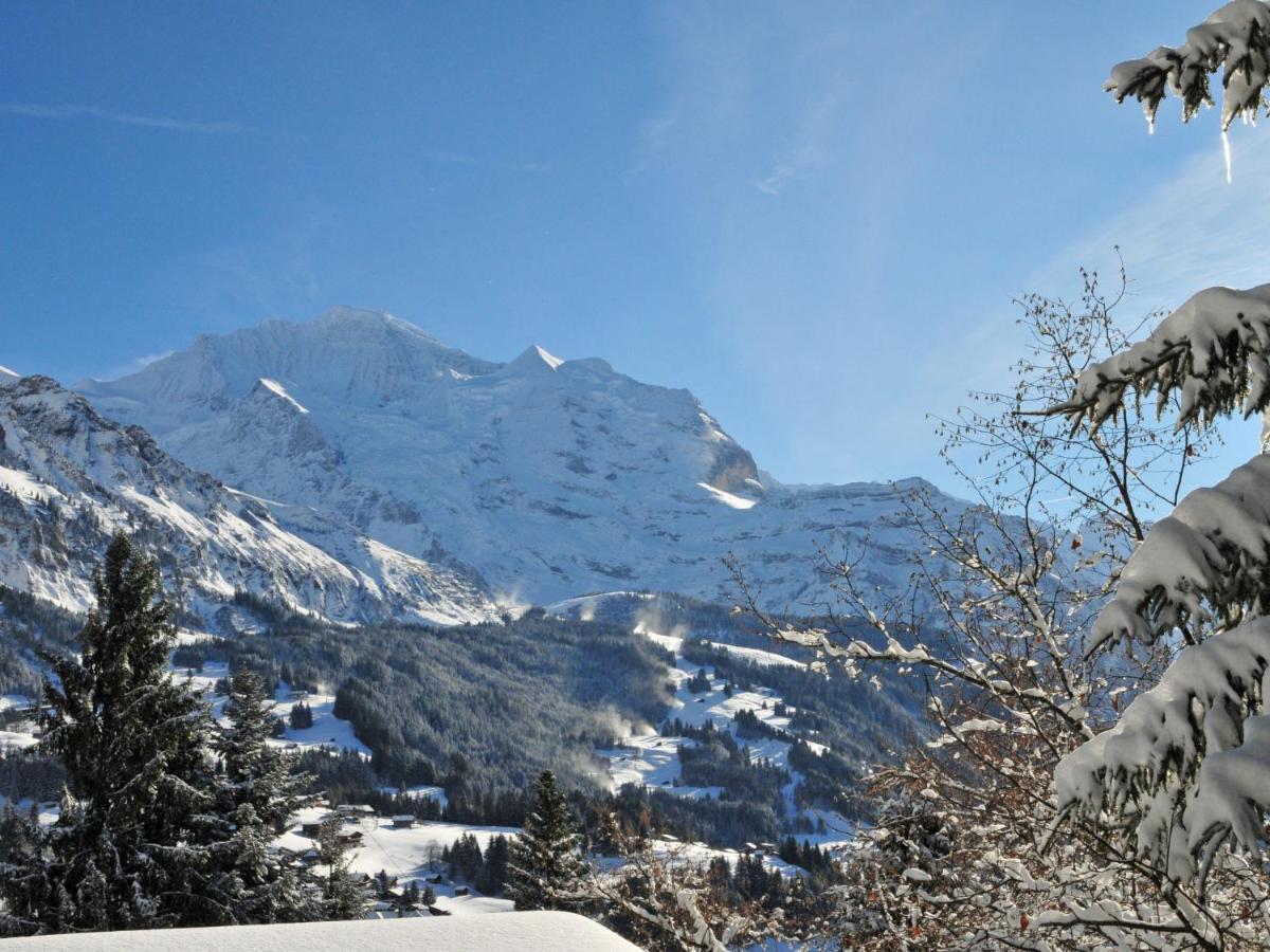 Apartment Eigersonne By Interhome Wengen Exterior photo